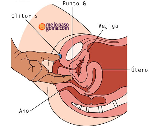 Como encontrar el punto G